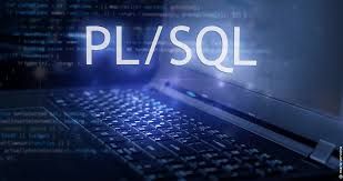 Seeking Oracle Expert to Join Our Team in Salem