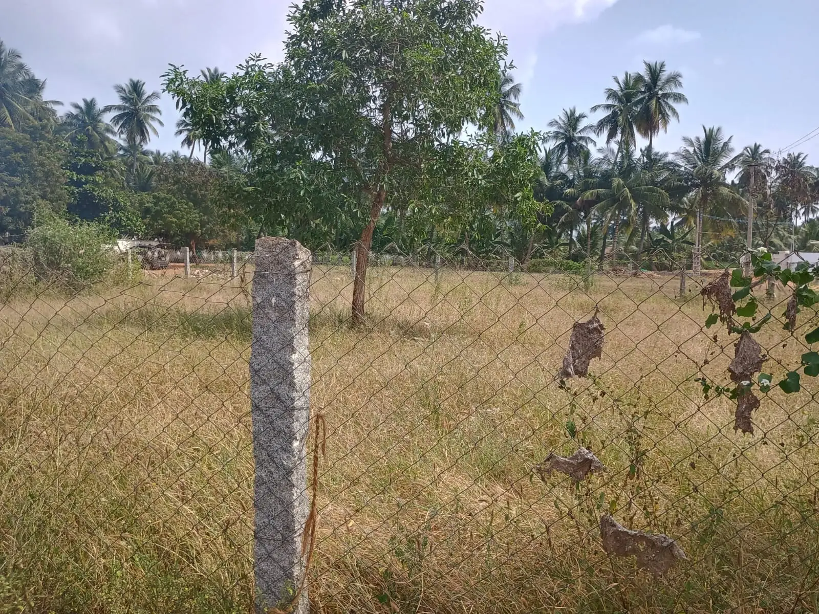Plot for sale at Velur, Namakkal