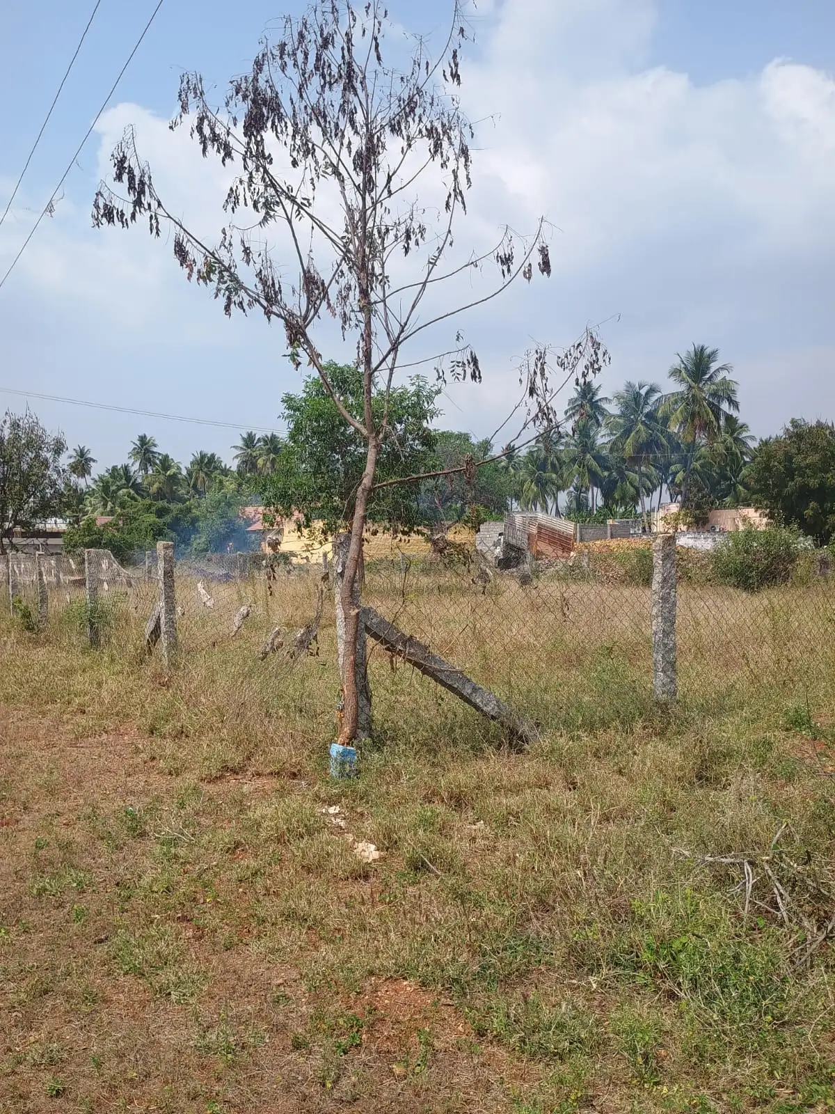 Plot for sale at Velur, Namakkal