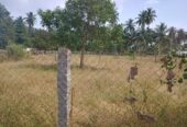 Plot for sale at Velur, Namakkal