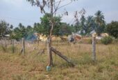 Plot for sale at Velur, Namakkal